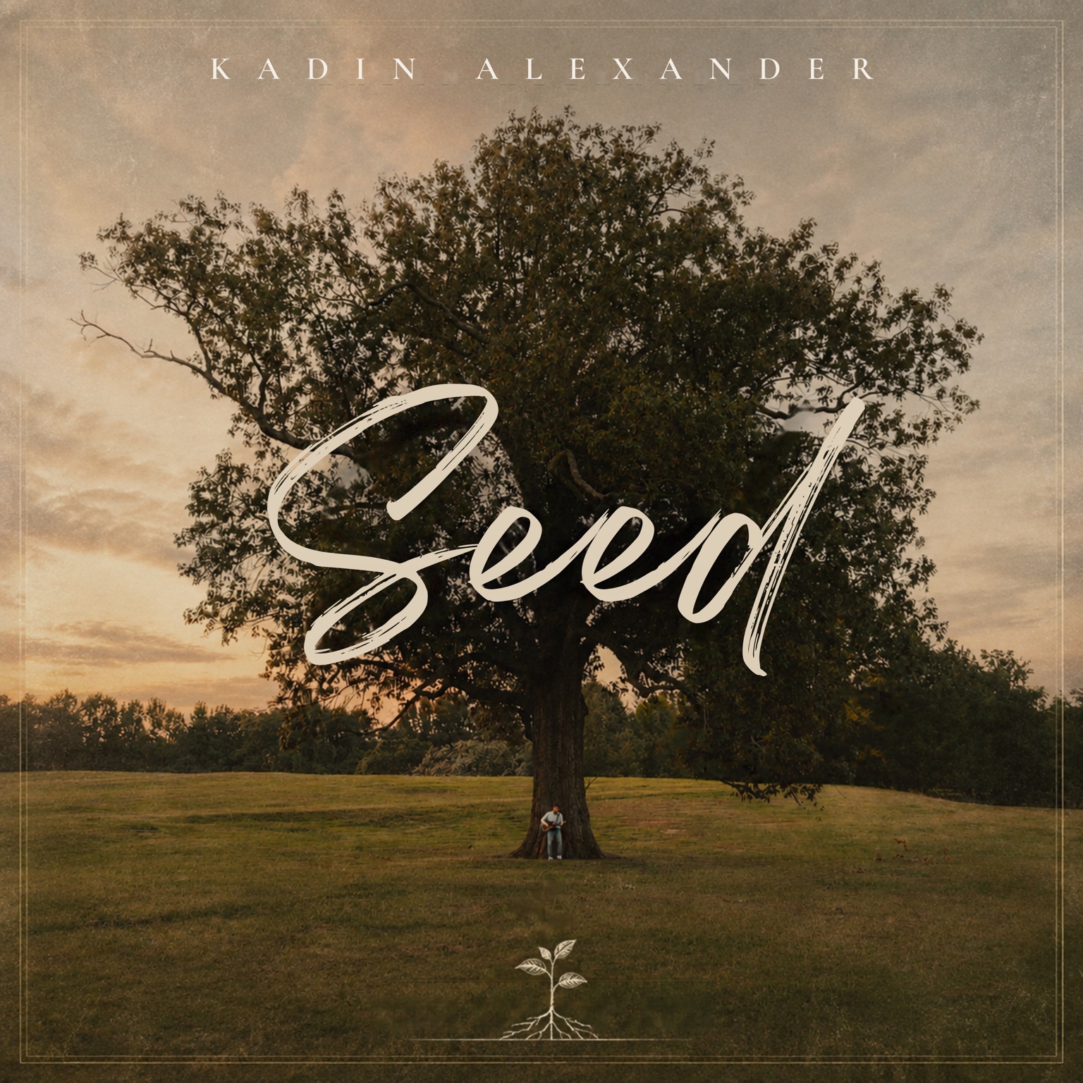 Seed by Kadin Alexander album artwork